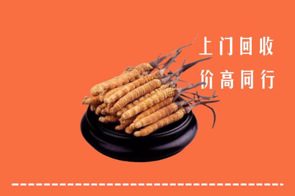 高价求购：宁蒗县回收散虫草