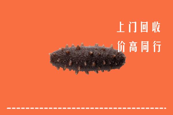 高价求购：宁蒗县回收海参