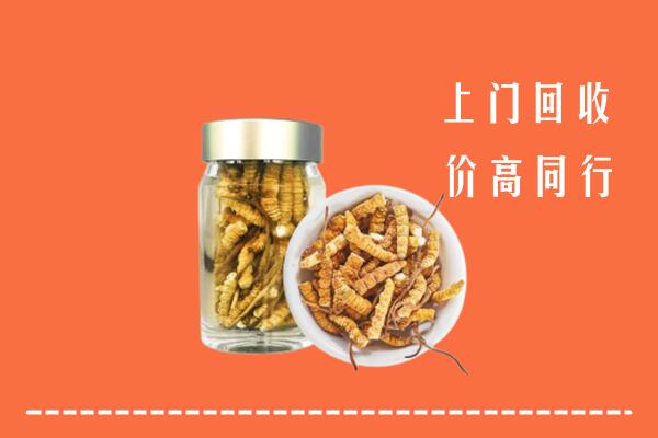 宁蒗县回收冬虫夏草